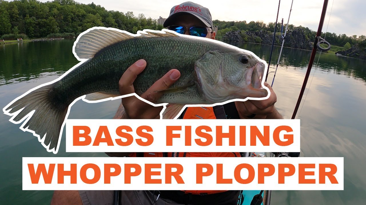 Bass Loving the Whopper Plopper - Beautiful Topwater Bass!