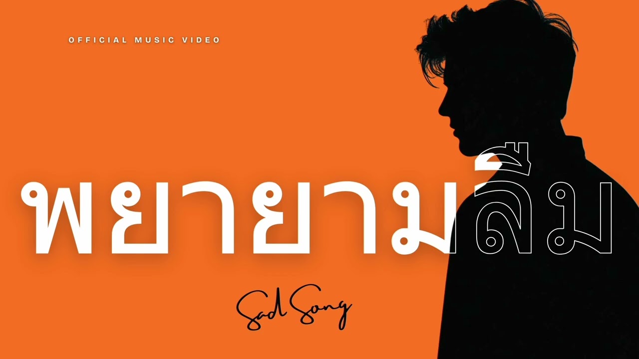 พยายามลืม - SAD SONG
