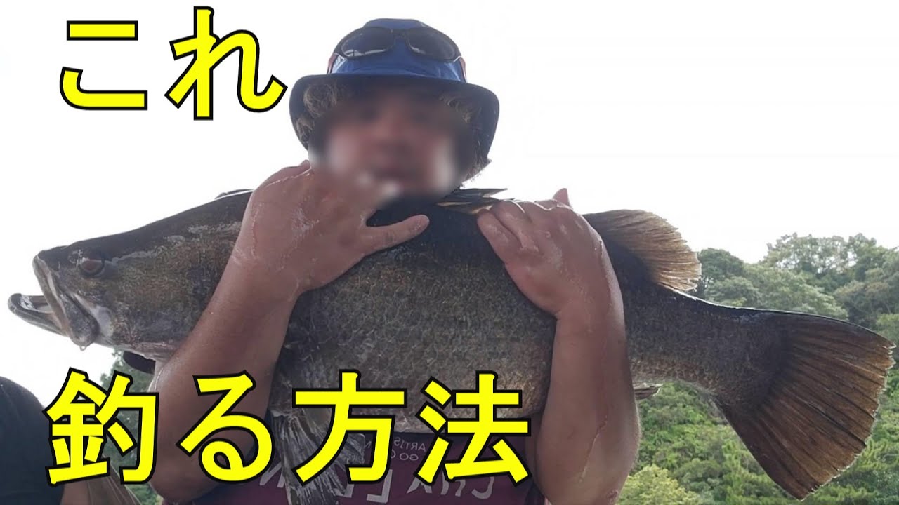 筏でのアカメ釣りのコツをまとめてみた【泳がせ】【日本三大怪魚】