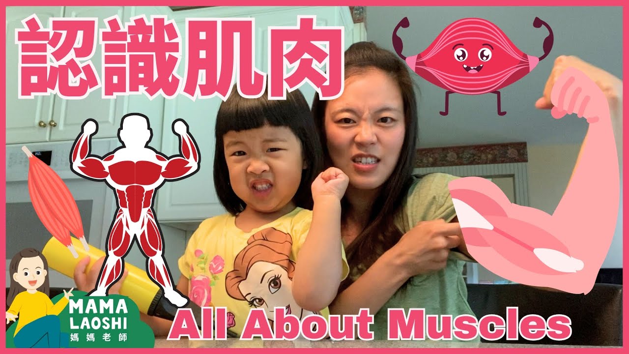 All about Muscles for Kids in Chinese! 親子探索：認識讓我們身體動起來的神奇肌肉！💪🏋️‍♂️🏃‍♀️🤸‍♂️