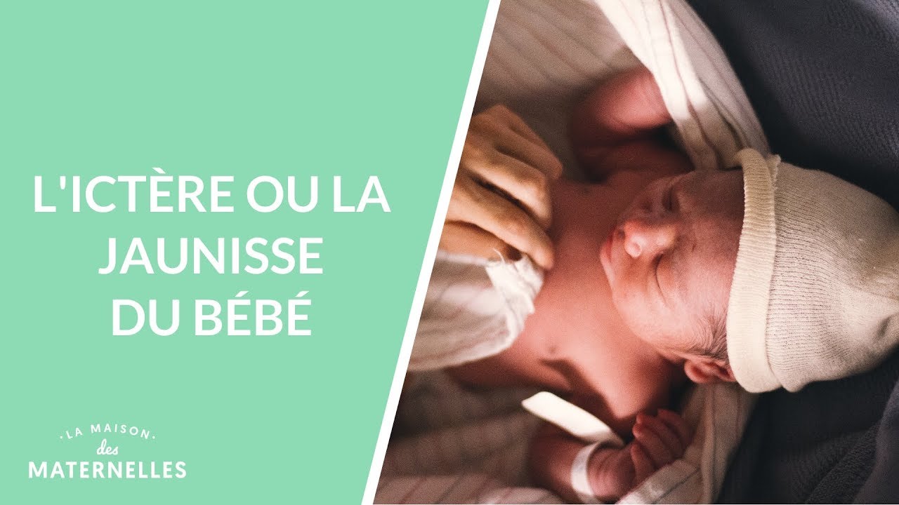 L'ictère ou la jaunisse du bébé - La Maison des maternelles #LMDM