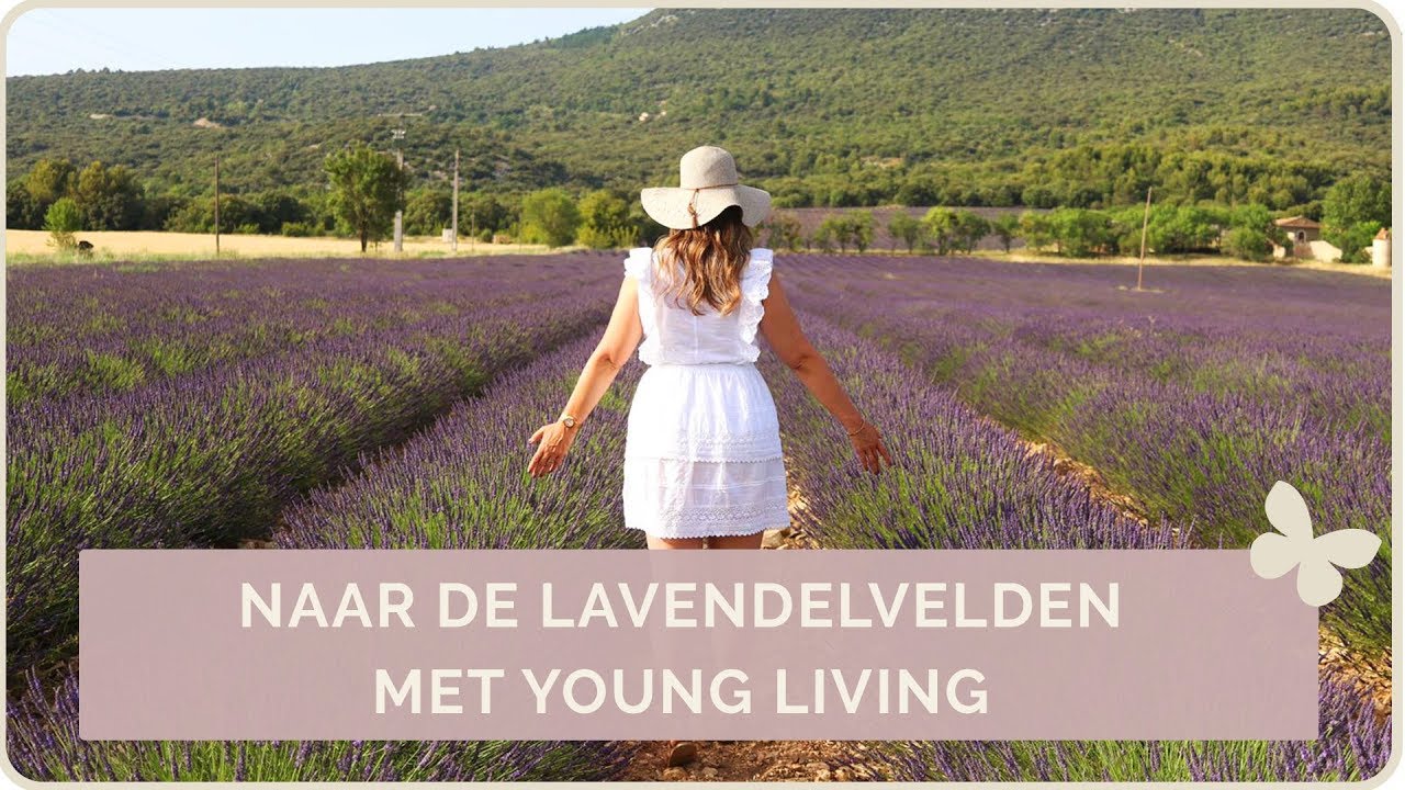 LAVENDER FIELDTRIP PROVENCE MET YOUNG LIVING | BLOOMING BLENDS
