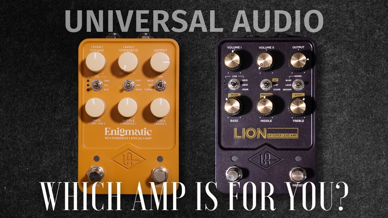 UA Enigmatic vs Lion - Are they that different?