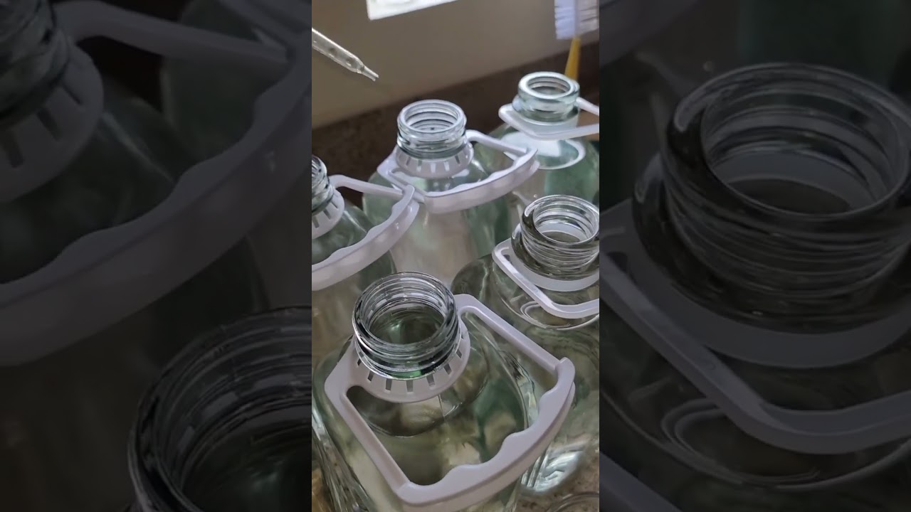 How to Make Clorine Dioxide Water! 💧  @NEWSFORCE17