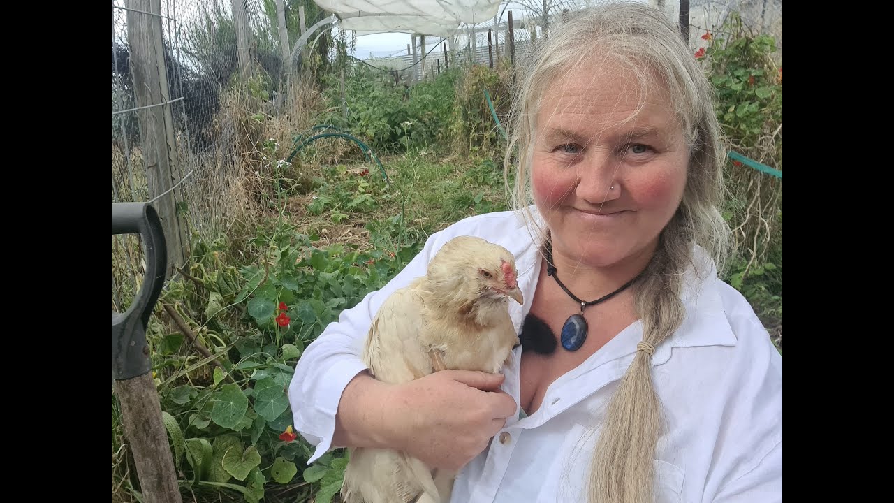 Animal Job Descriptions - The Chickens! Head Gardeners, Leading Farm Hands.