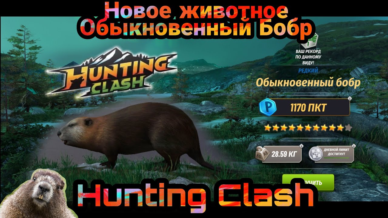 Новое животное Обыкновенный Бобр / Берём последнюю коробку/ Hunting Clash: Охота на животных