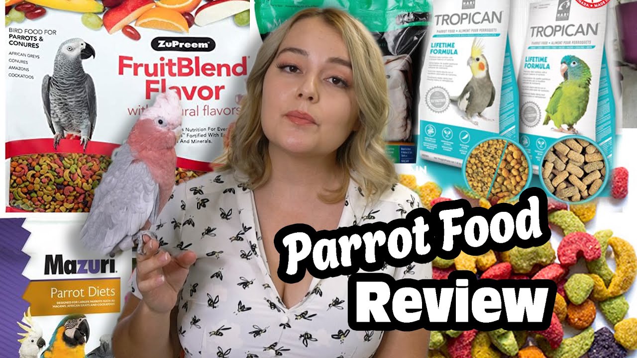 Parrot Food Review | Should Parrots Eat Pellets?