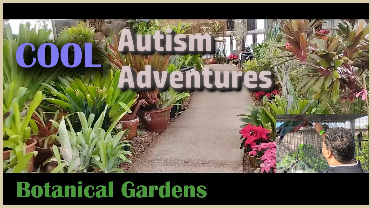 Botanical Gardens with Orchids and Tortoises. Autism Adventure