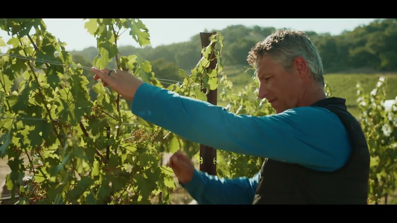 Halter Ranch Estate Achieves Regenerative Organic Certified® Status