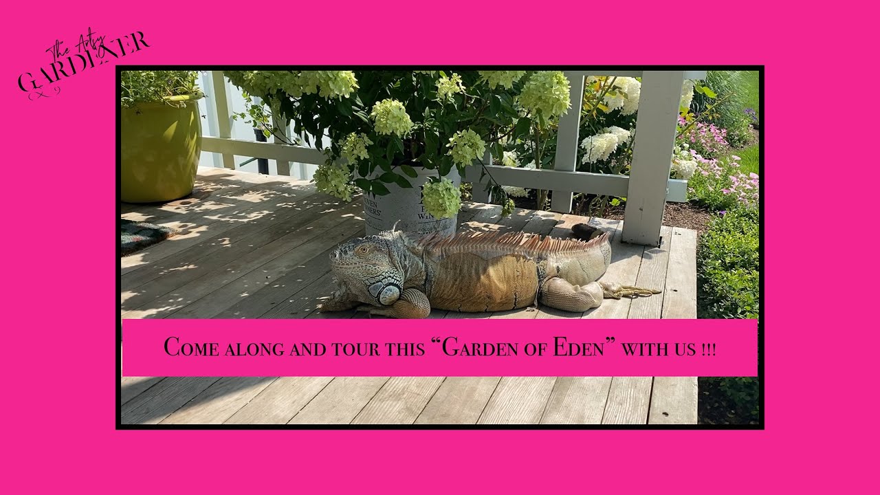 Garden tour of what I'm calling the Garden of Eden Tour