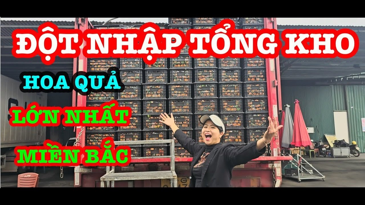 HƯỚNG DẪN ĐI BUÔN HOA QUẢ TỪ A ĐẾN Z - ĐỘT NHẬP TỔNG KHO HOA QUẢ LỚN NHẤT MIỀN BẮC - THANH TÂM TV