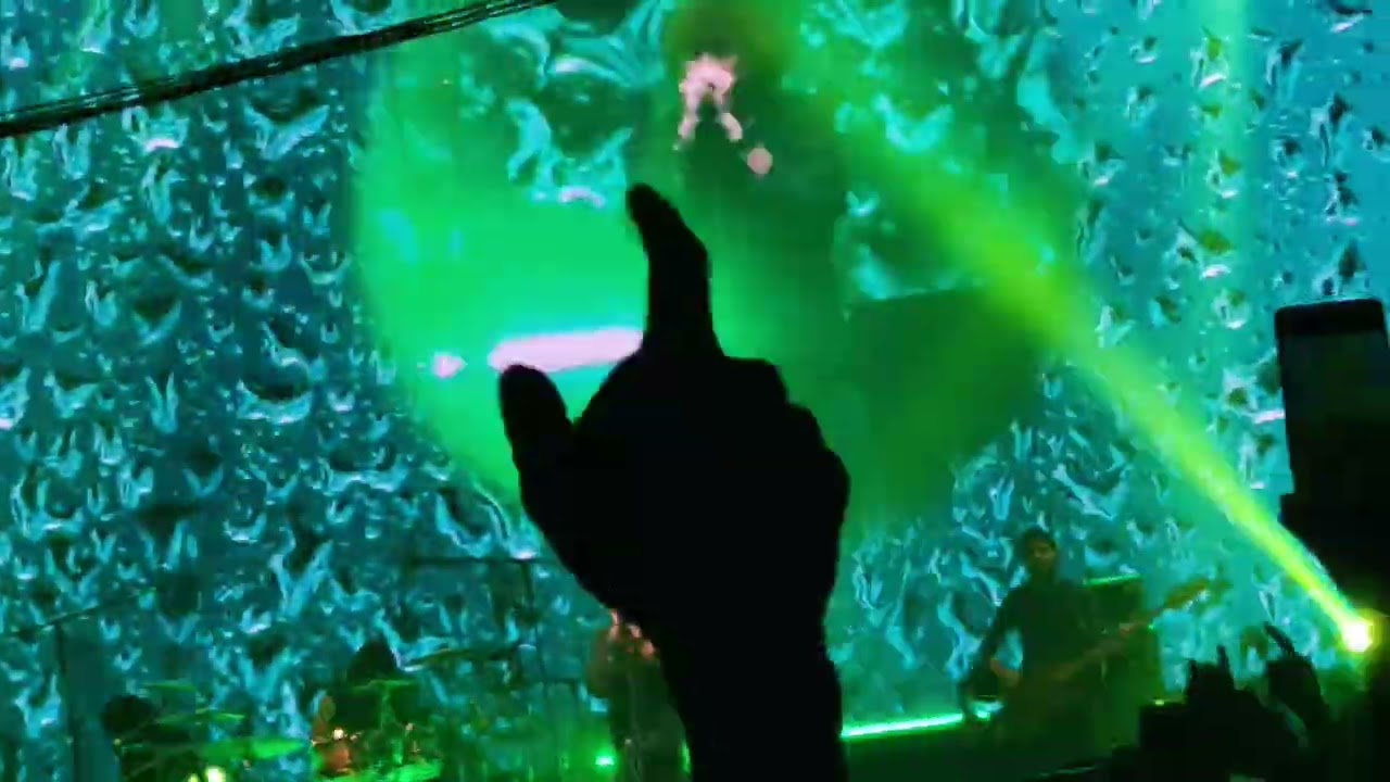 Fossils live