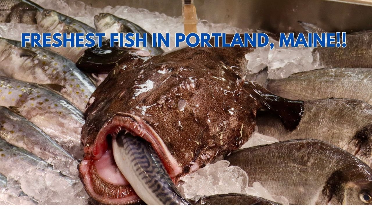 A visit to Harbor Fish Market in Portland, Maine