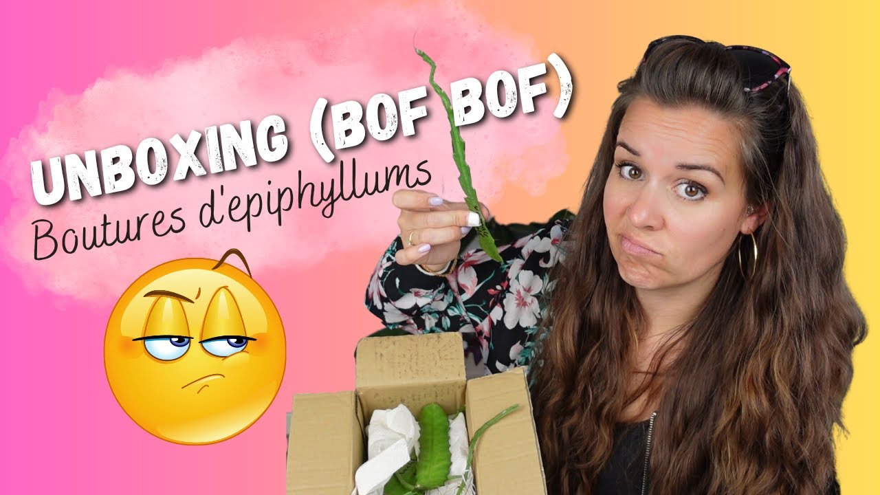 Unboxing de chez Paul Shirley (décevant) Boutures d'epiphyllums
