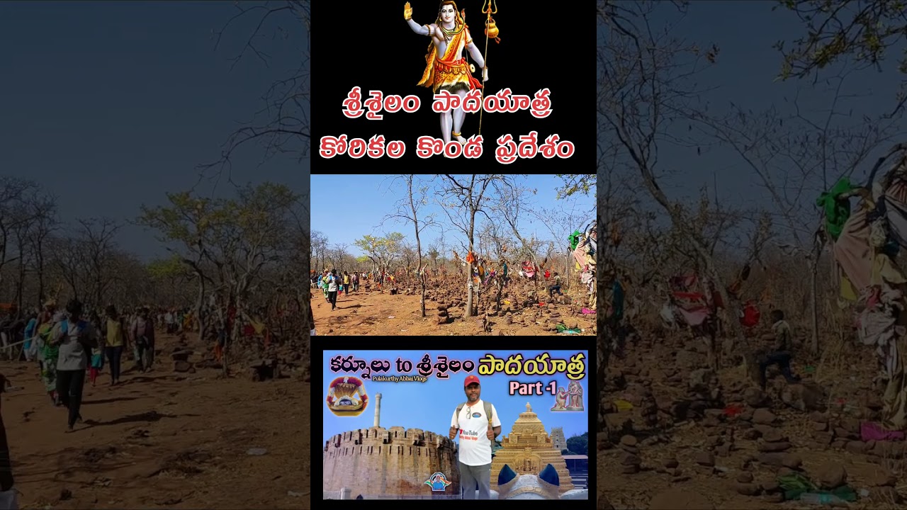 🚩🙏 శ్రీశైలం పాదయాత్ర 2025 #srisailam #trekking #padhayatra #shivaratri #trending #viralshort #yt
