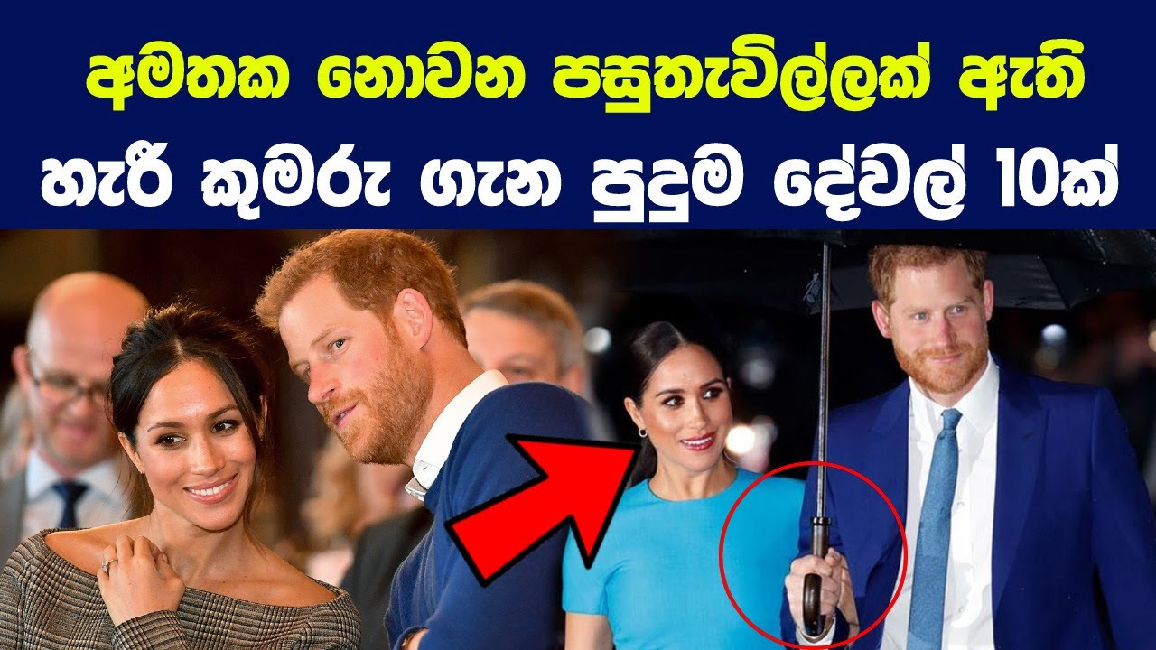හැරී කුමරු ගැන ඔබ කිසිදා නොඇසූ අපුරු දේවල් 10ක් | 10 Things You Didn't Know About Prince Harry