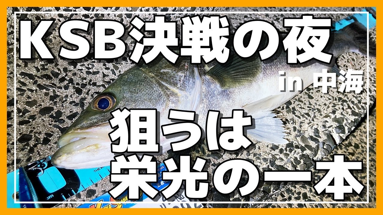 【中海シーバス】KSB（かめやシーバスバトル）初参戦！狙うは栄光の１本！！【釣行記】