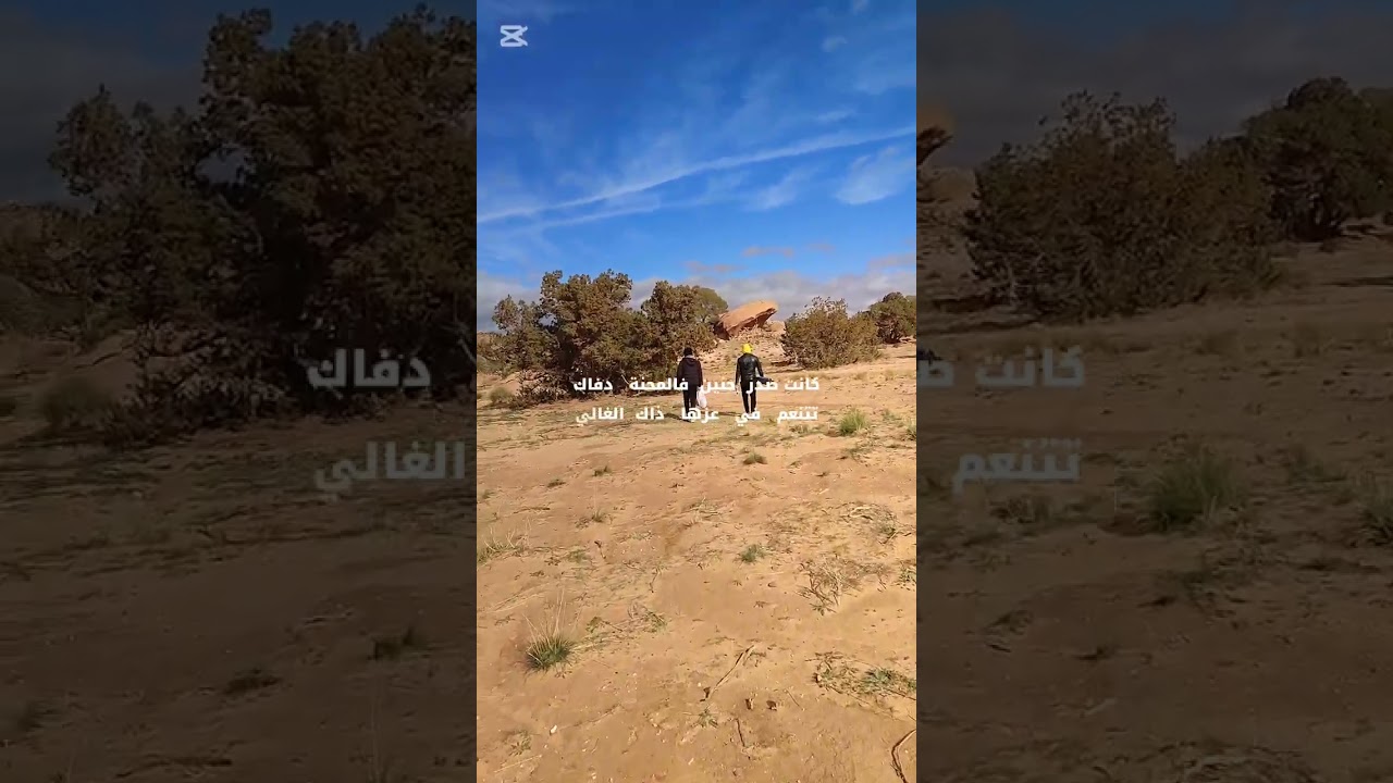 يا دنيا وعلاه😔 كلمات رائعة وصوت أروع قصيدة تروي فراق الأم😥 