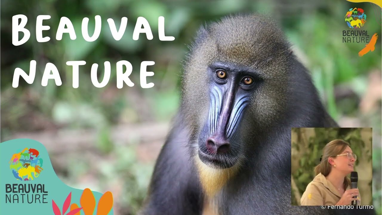 Live de la Conférence Beauval Nature