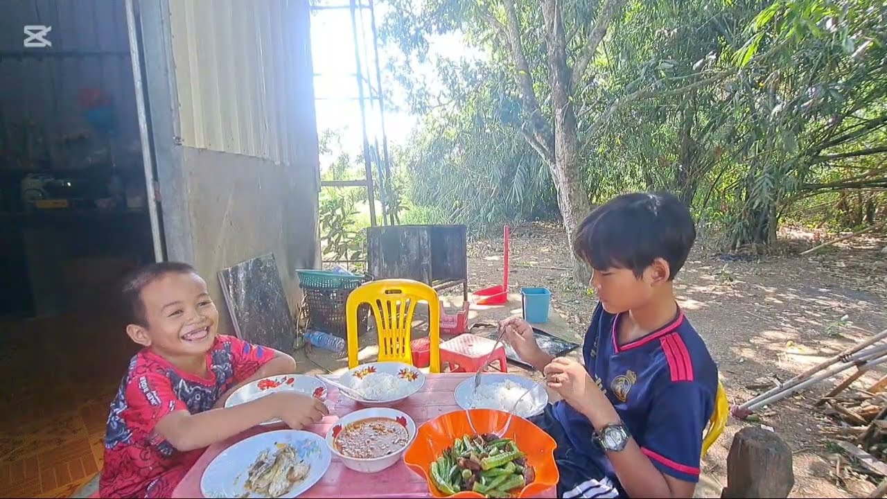 27 វិច្ឆិកា 2025
