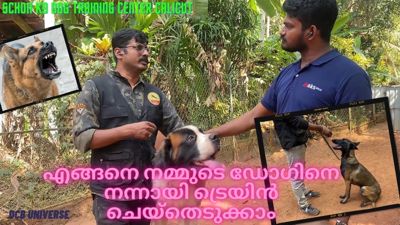 Schon k9 dog training centre with years of experience. Get you pets trained.