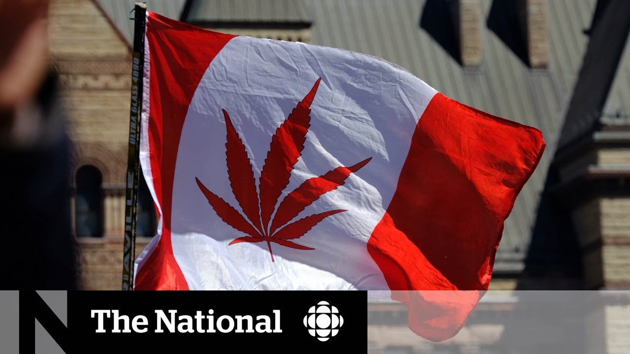 Marijuana legalization gives 420 and cannabis culture a different meaning