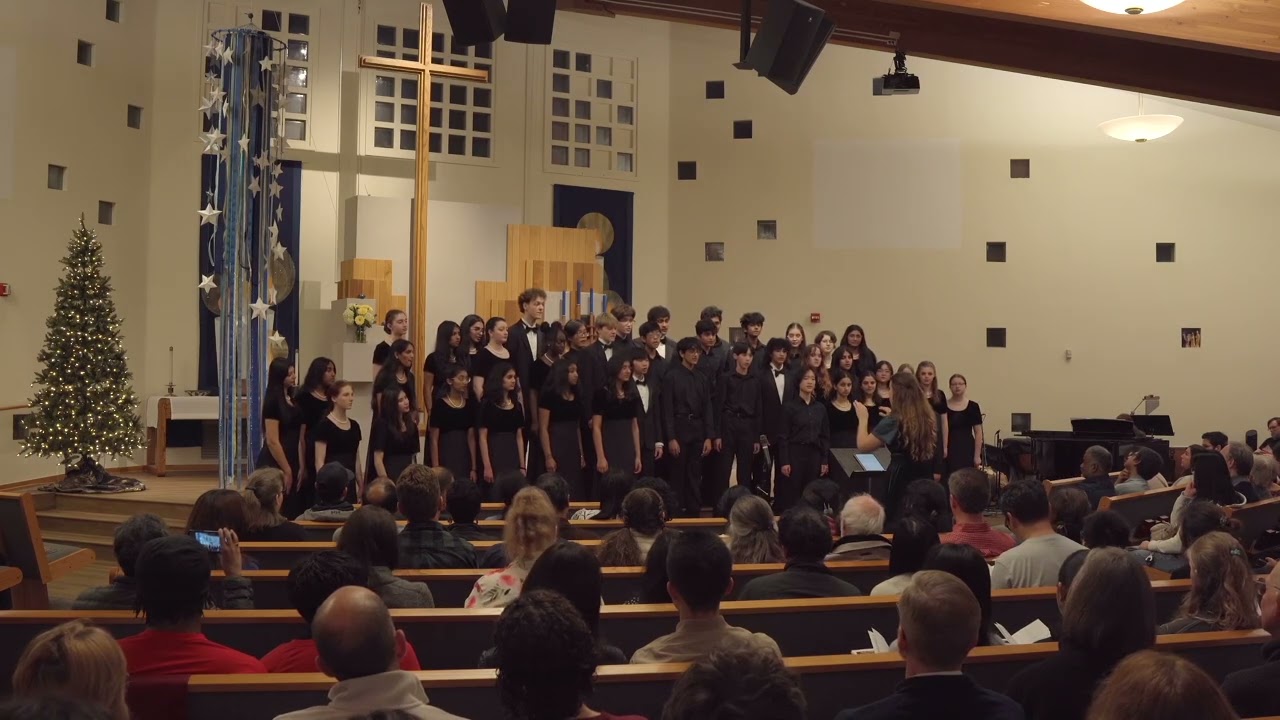 Tree | Cantabile