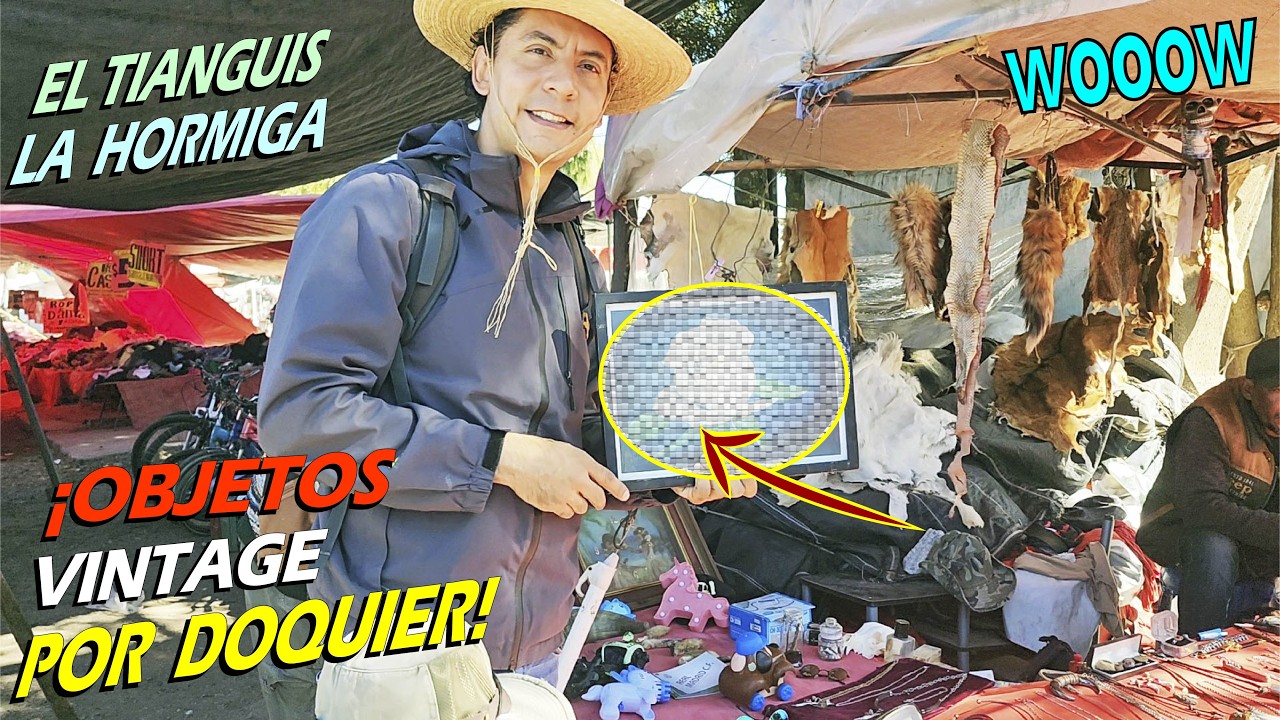 ¡Encuentro OBJETOS VINTAGE 💸 y Antigüedades por todos lados en la Hormiga Toluca!