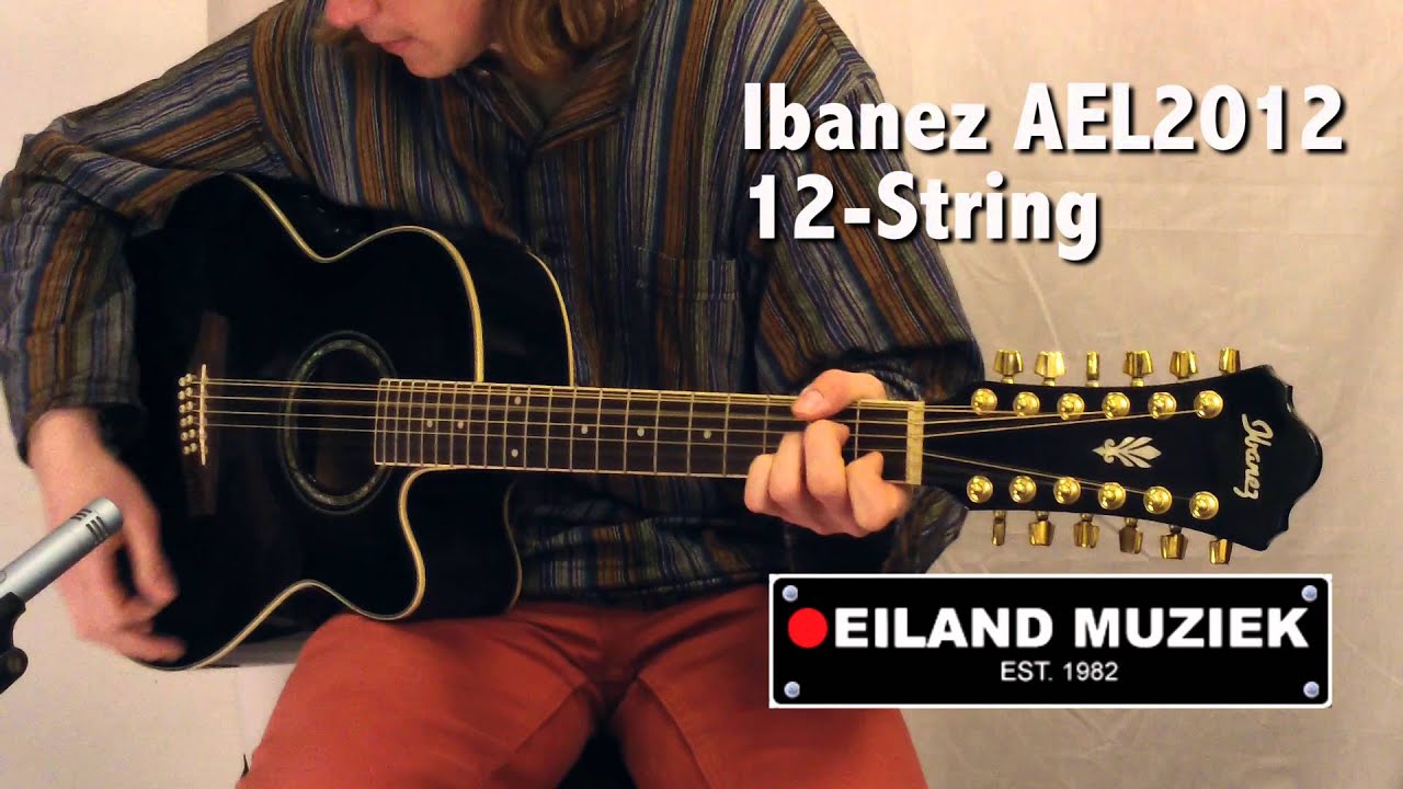 Ibanez AEL2012E 12-String
