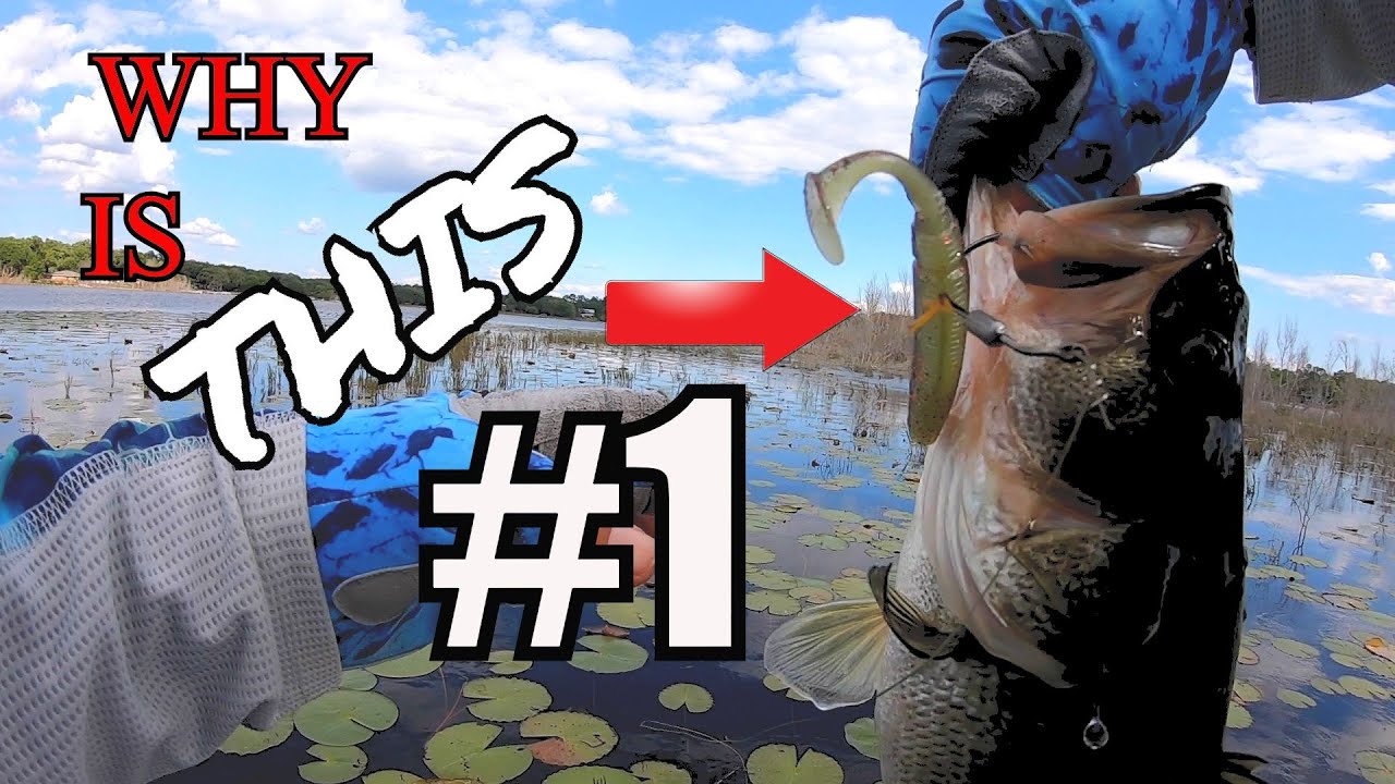The BEST NEW SWIMBAITS... Are From AMAZON.COM??!! CRUSHES BIG BASS!!