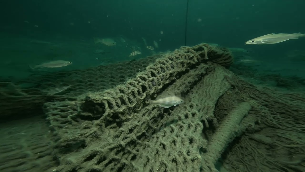 Plong&eacute;e CCR La Croche au Chalut / AP Diving ( Stage CCR hypoxique Juin 2023 )