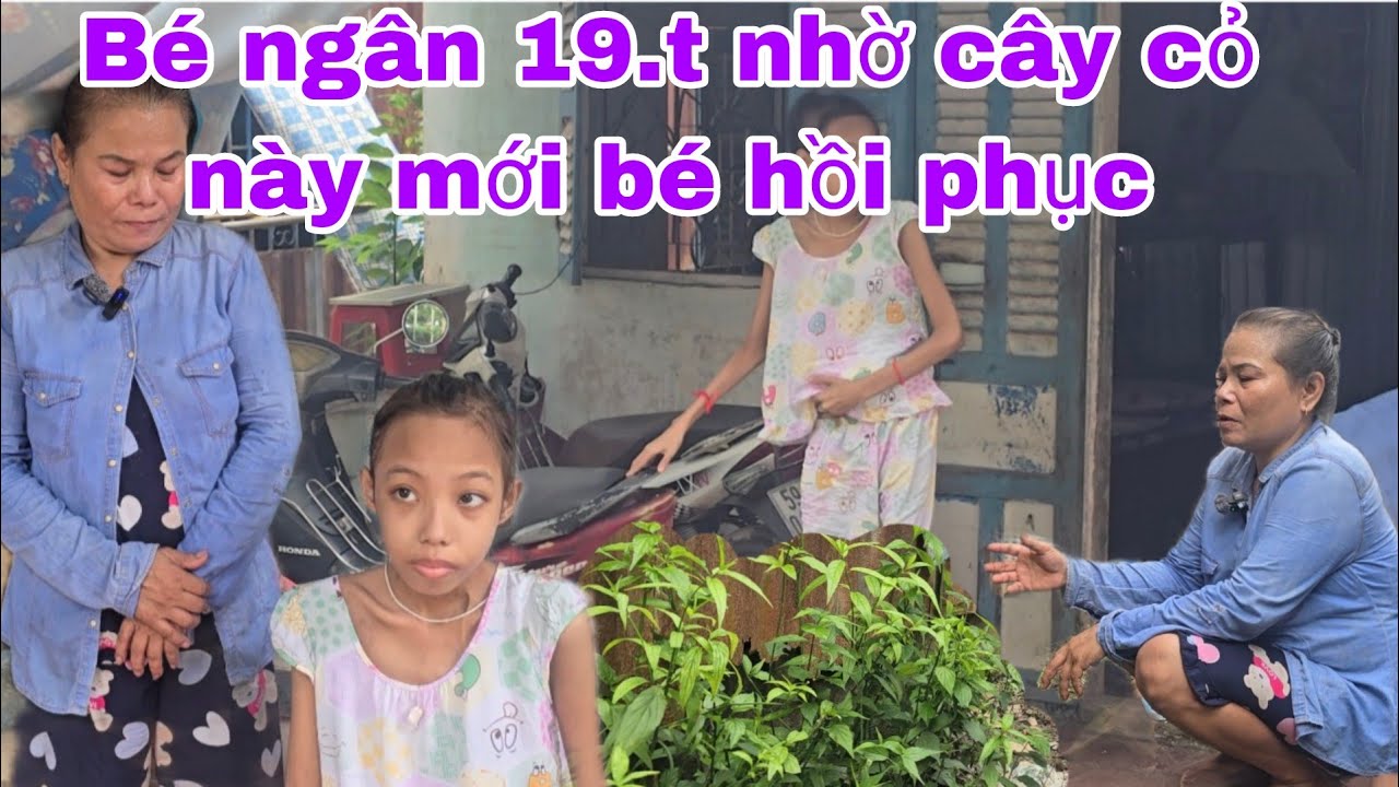 Bé ngân 19.t đã khỏe lại từ từ nhờ vào cây cỏ này