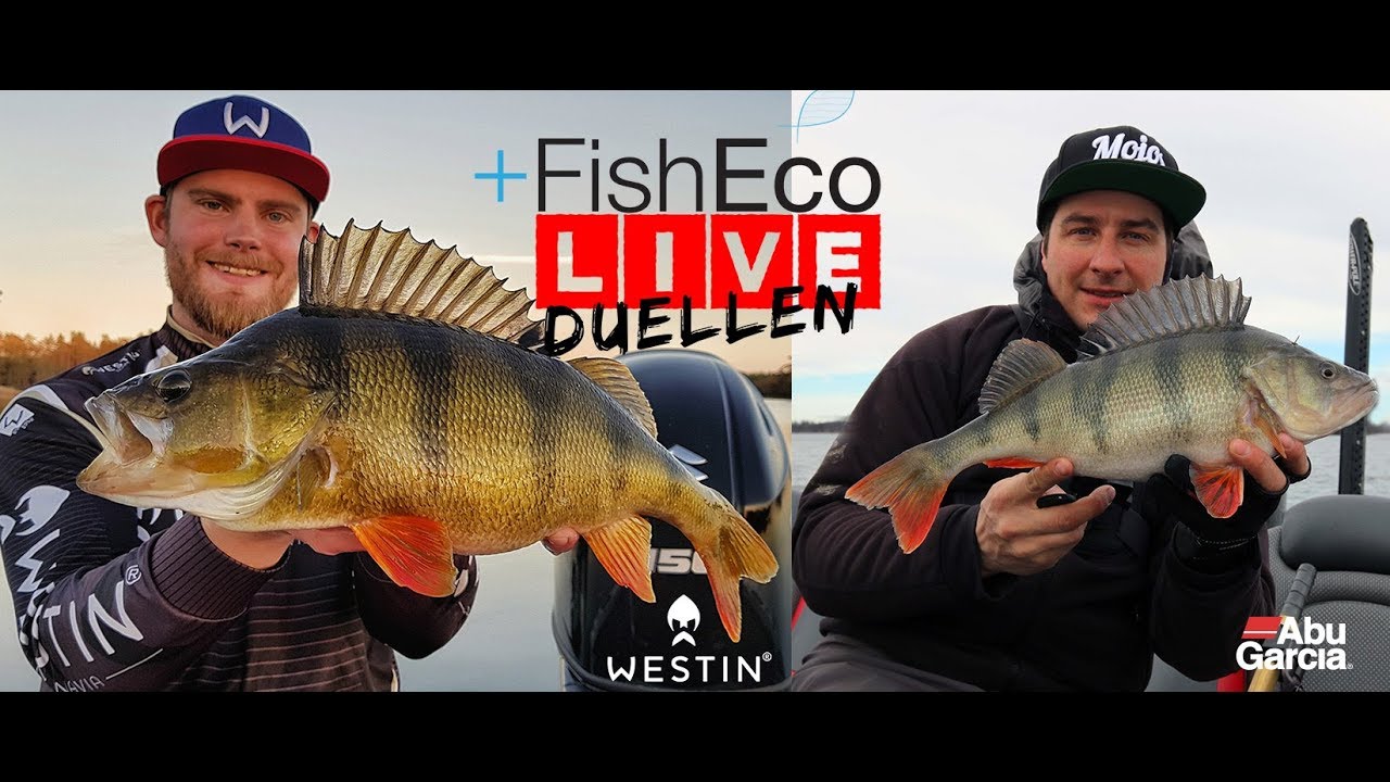 LIVEfiskeduellen - Tobias Fränstam VS Daniel Nilsson