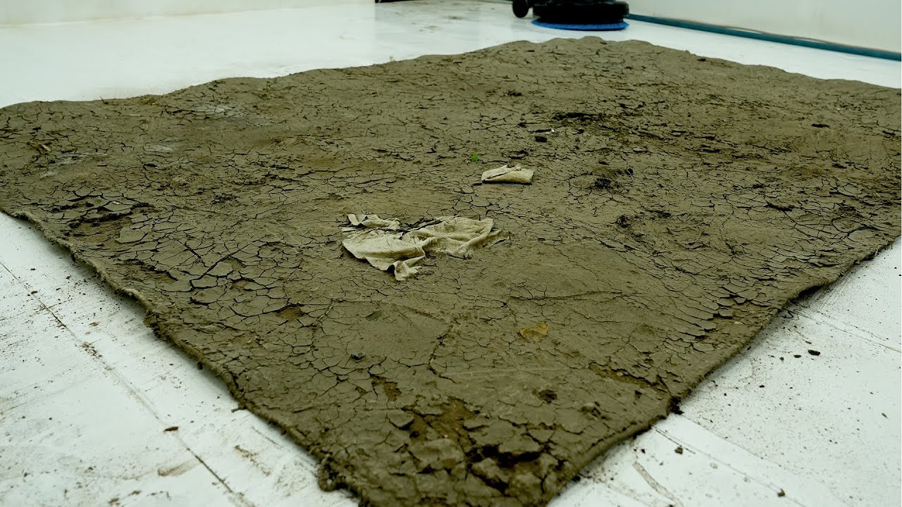 The Rug Left Behind in the Desert After Cleaning Will Surprise You – Carpet Cleaning ASMR