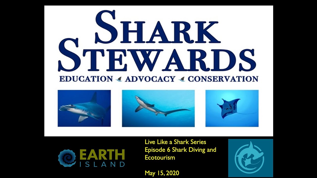 Live Like a Shark Episode 6