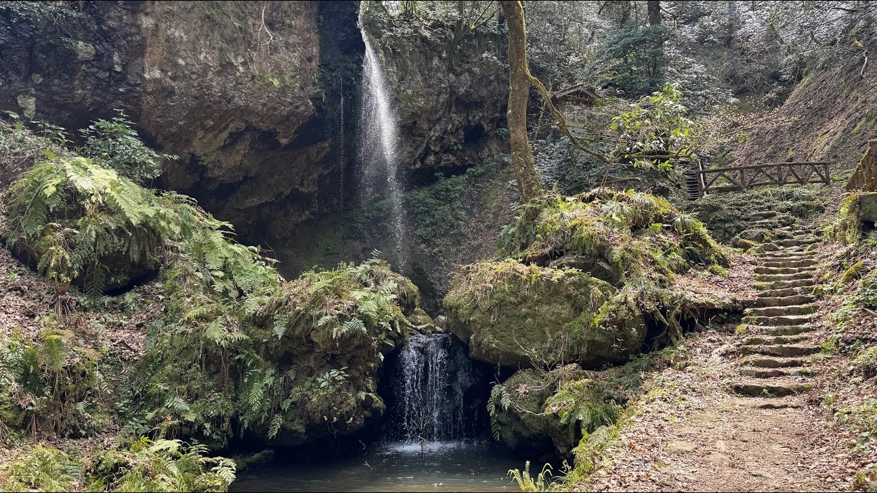 【新潟の山】 菩提寺山 （新潟市） 標高248m