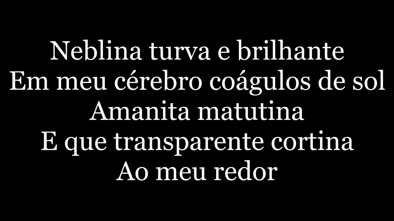 Z&eacute; Ramalho - Avohai (letra)