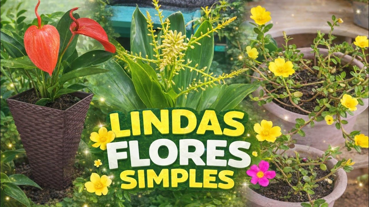 FUI A PROCURA DE FLORES NA CHUVA ☔️ 