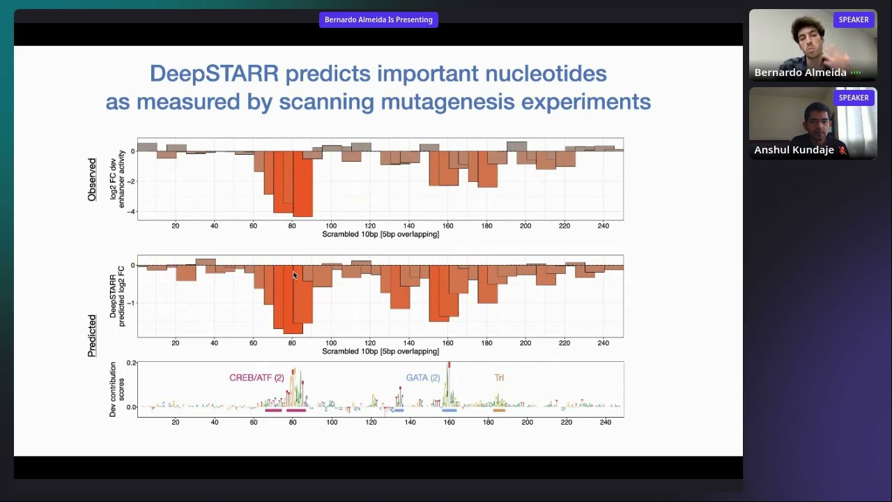 DeepSTARR predicts enhancer activity from DNA sequence... - Bernardo Almeida - ISCBacademy Webinar