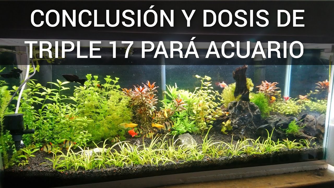 UTILIZA TRIPLE 17 COMO ABONO PARA ACUARIO