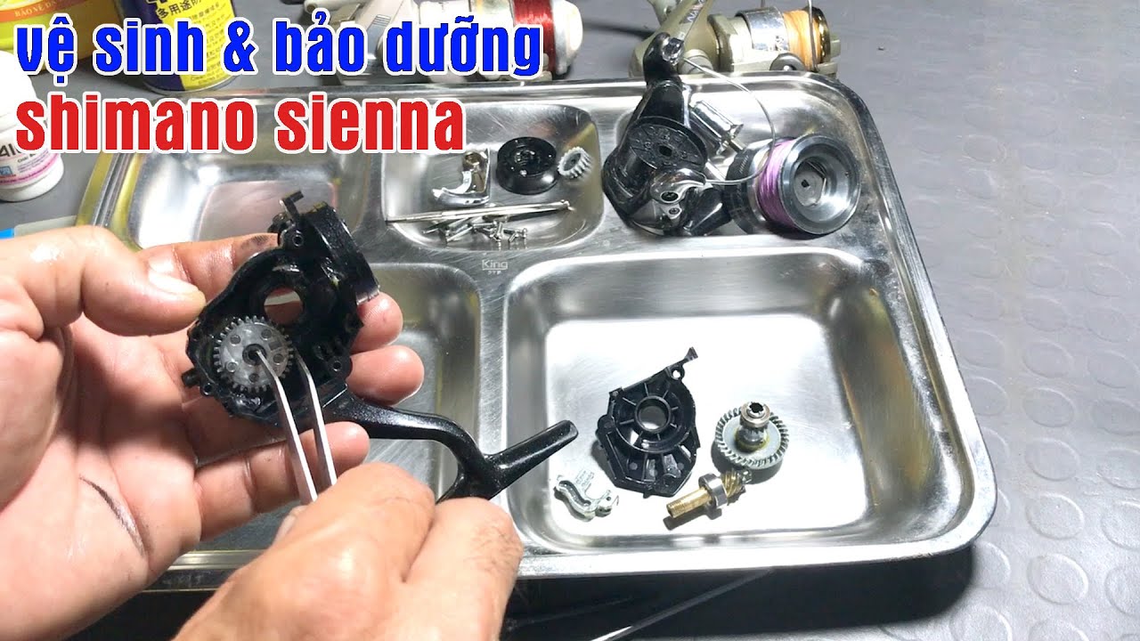 Cách Vệ Sinh / Bảo Dưỡng Máy Câu Shimano Sienna  Đơn Giản Tại Nhà | Tâm Râu Vlog #82