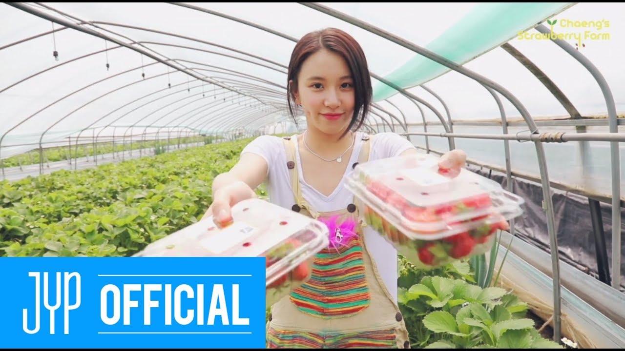 채영 TV EP.챙의 딸기농장
