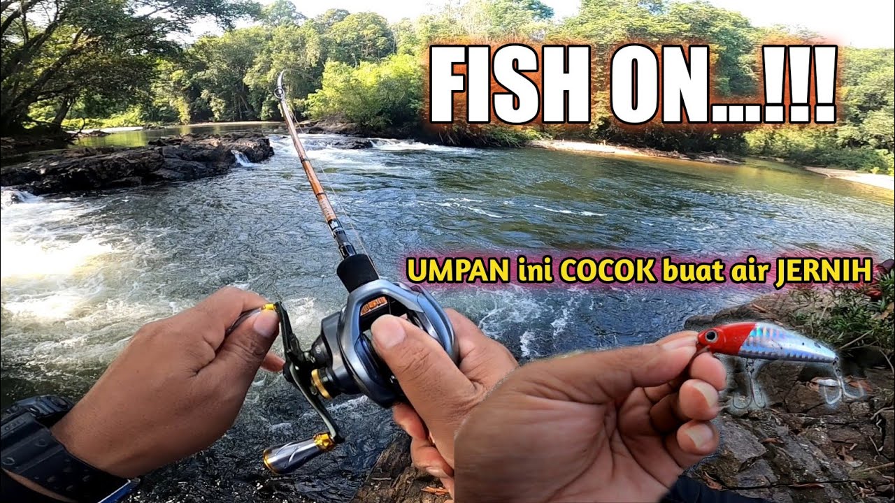 CARA MUDAH CASTING HAMPALA AIR JERNIH ‼️ MANCING HAMPALA SUNGAI BORNEO KALIMANTAN INDONESIA.