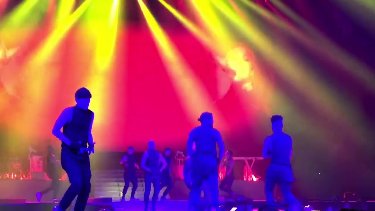 Ariana Grande - Everyday Dangerous Women Tour in Tokyo