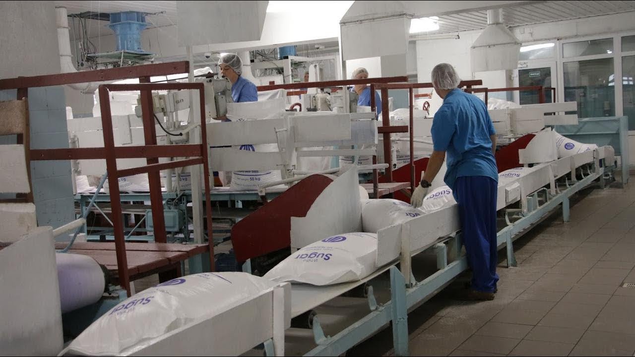 Як працює Глобинський цукровий завод агропромхолдингу «Астарта-Київ»