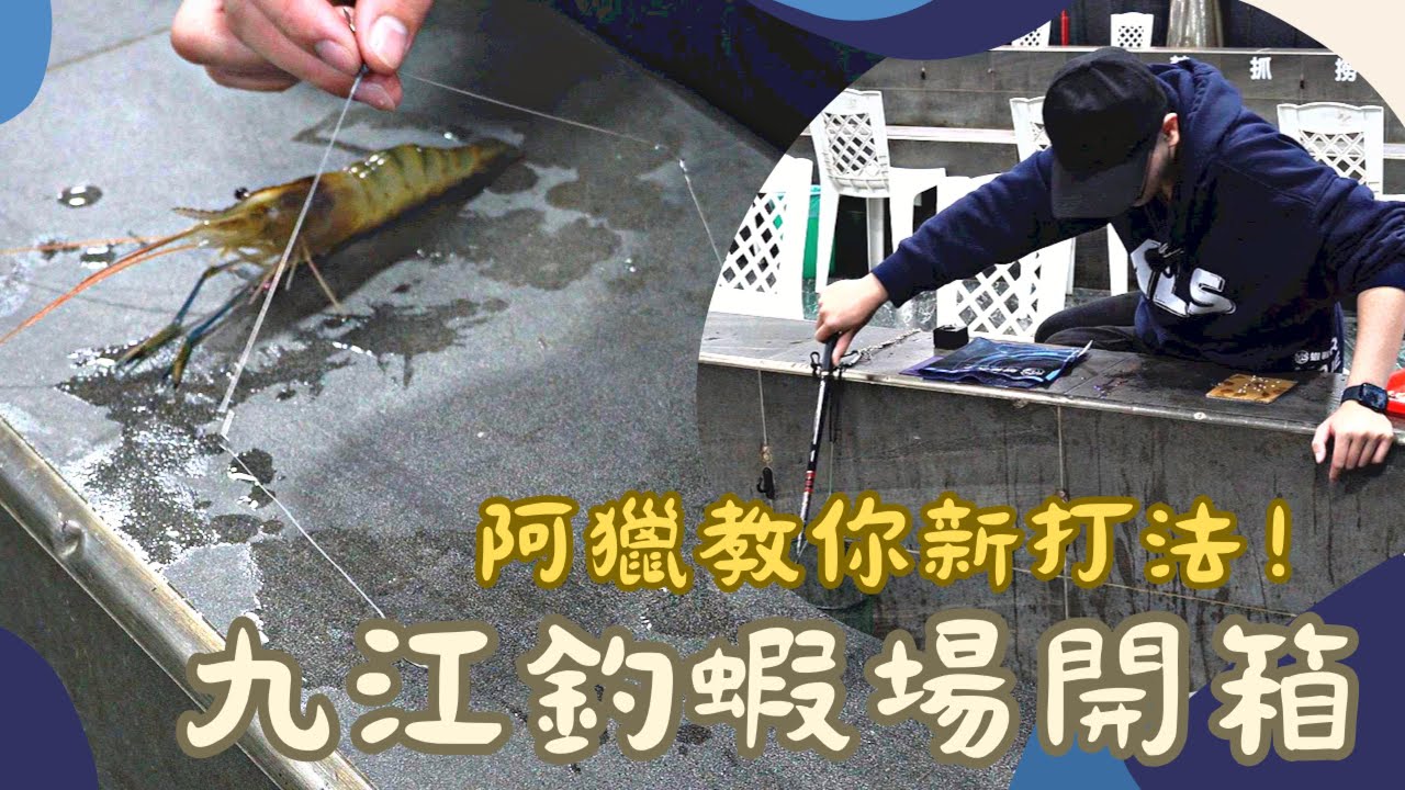 遇到死蝦 阿獵教你新打法 ! 比比驚呼：好好用！ 【MLS蝦戰天下】#17shrimp #台湾のエビ釣り #shrimpfishing #새우낚시 #三重九江釣蝦場開箱