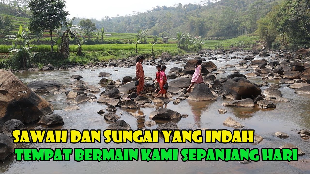 Kampung Dengan Sawah Dan Sungai Yang Indah. Siapapun Akan Betah Tinggal Disini