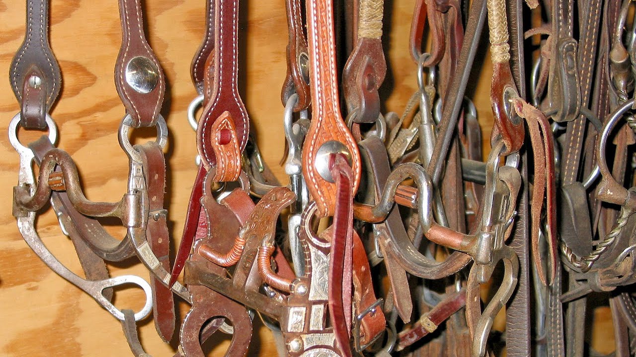 Saddle Soap or Oil-Which Should You Use on Tack and When?