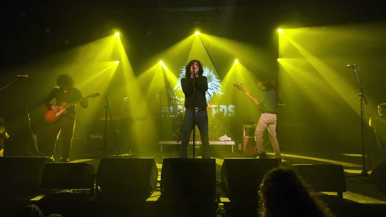 Dazed And Confused - The Blackbirds (Zappa TLV 2026) #ledzeppelin 