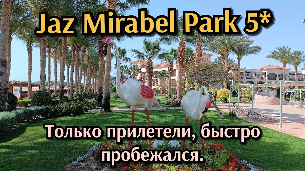 Jaz Mirabel Park 5*. Шарм Эль шейх.Только прилетели, быстро пробежался.